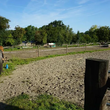 Au Randonneur - * Thuin